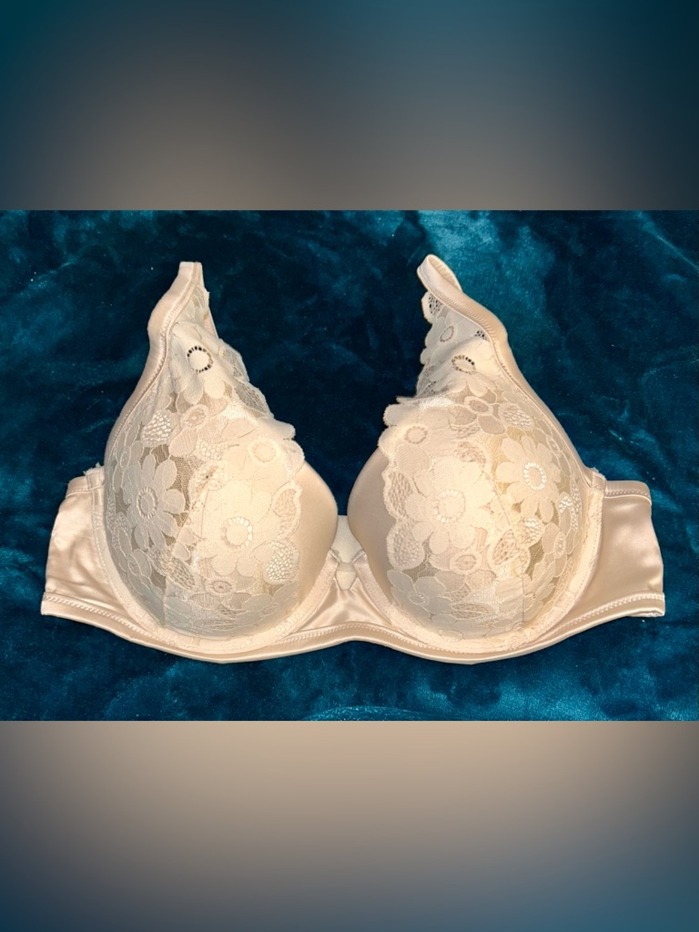 Aerie Real Power Plunge Push Up New Blooms Lace Bra.  Size 38C